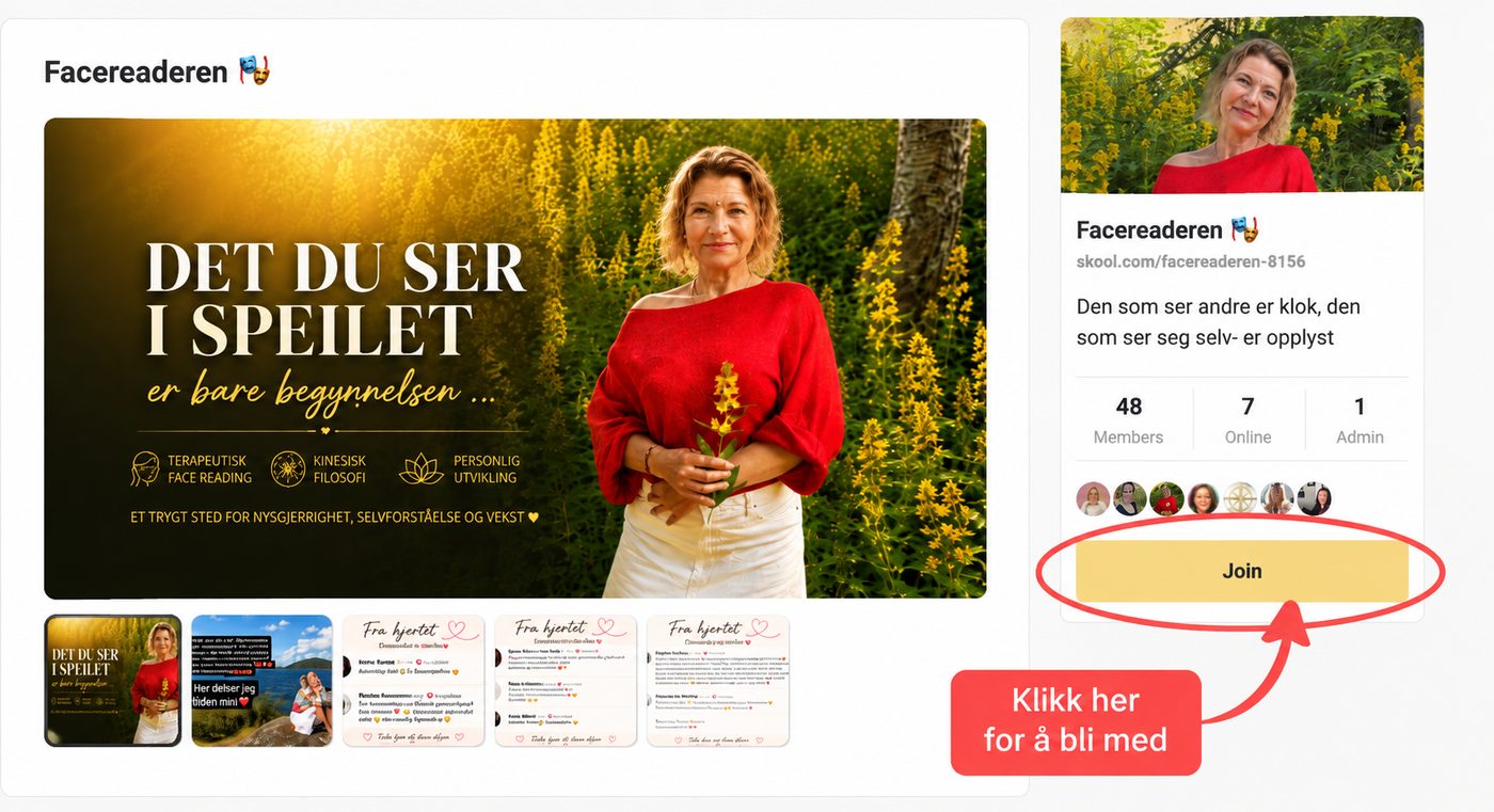 Skjermbilde av Facereaderen sin Skool-gruppe, med pil som viser hvor du trykker for å bli med